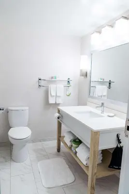 a bathroom with a sink and a toilet and a mirror at Coast Hotel & Convention Centre in Langley