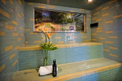 a blue tiled shower with a vase and a window at Crest Hotel in Prince Rupert