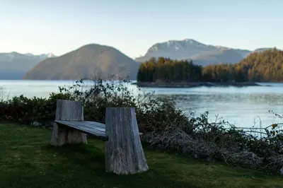 a wooden bench sitting on the grass near a body of water at Backeddy Resort and Marina in Egmont