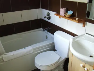 a bathroom with a toilet and a sink at Ponderosa Motor Inn in Golden