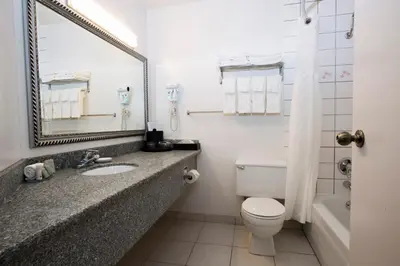 a bathroom with a sink and a toilet and a mirror at Tower Inn & Suites in Quesnel