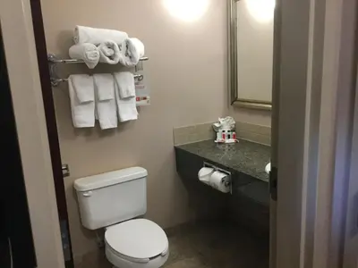 a bathroom with a toilet and a sink and towels at Ramada by Wyndham Brooks in Brooks