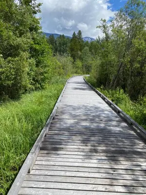 a wooden boardwalk in the middle of a field at Chalet Continental Motel in Valemount