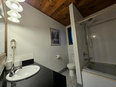 a bathroom with a sink and a shower and a toilet at Alpine Inn in Valemount