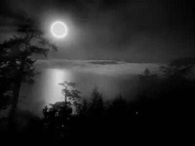 a full moon rising over a foggy valley with trees at Shangri-La Oceanfront vacation home in Pender Island
