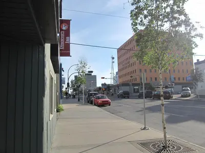 a small tree on a sidewalk next to a street at Discovery Inn in Yellowknife