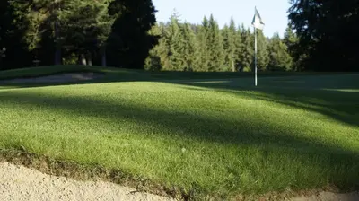 a putting green with a flag on a golf course at The Inn at the Ninth Hole Bed & Breakfast in Salmon Arm