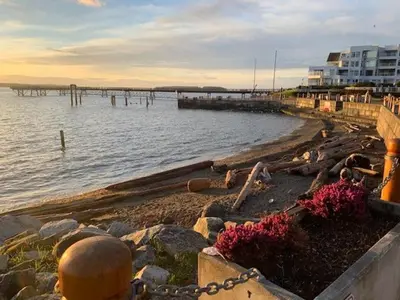 a beach with a pier and a body of water at Sidney Waterfront Inn & Suites in Sidney