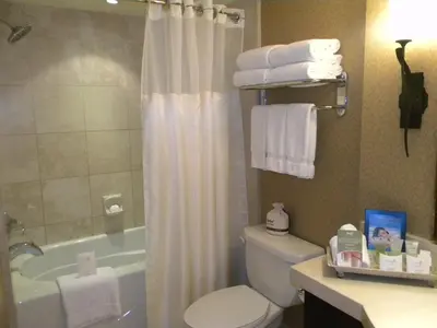 a bathroom with a shower curtain and a toilet and a tub at River Rock Casino Hotel in Richmond