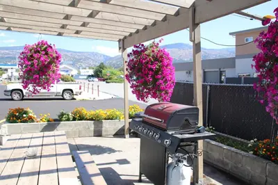 a barbecue grill under a pergola with pink flowers at Plaza Motel in Penticton