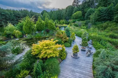 an overhead view of a garden with a bench and trees at Inn the Estuary in Nanoose Bay