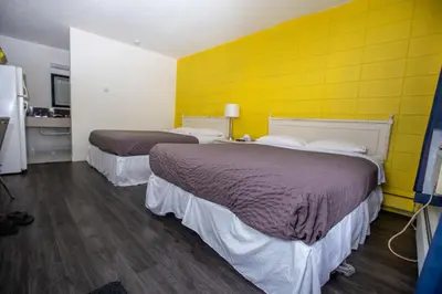 two beds in a room with a yellow wall at Camrose Motel in Camrose