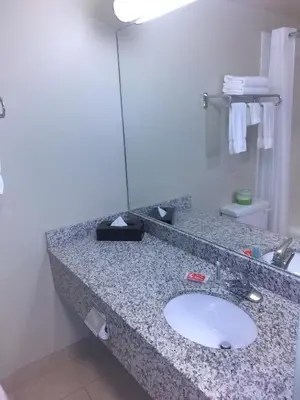 a bathroom counter with a sink in a hotel room at Econo Lodge in Okotoks