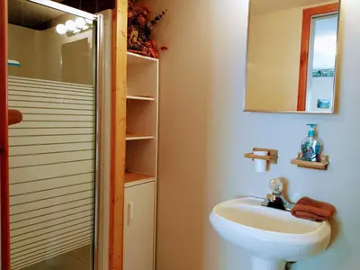 a bathroom with a sink and a mirror and a shower at PineWood Guesthouse in Peachland