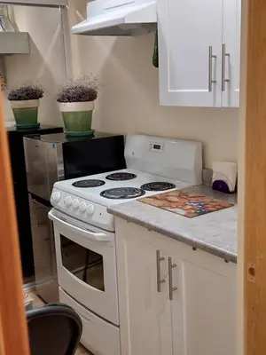 a kitchen with a white stove and a counter top at PineWood Guesthouse in Peachland