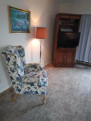 a living room with a chair and a television at Rosedale Manor in Duncan