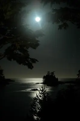 a full moon over a body of water at night at Snug Harbour Inn in Ucluelet