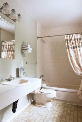 a bathroom with a sink and a toilet at Heriot Bay Inn in Heriot Bay