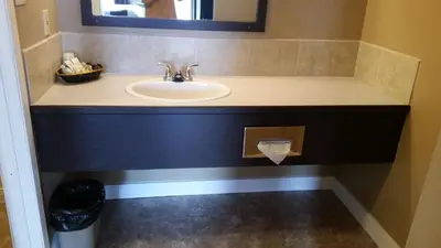 a bathroom with a sink and a mirror at Chinook Country Inn in Sundre