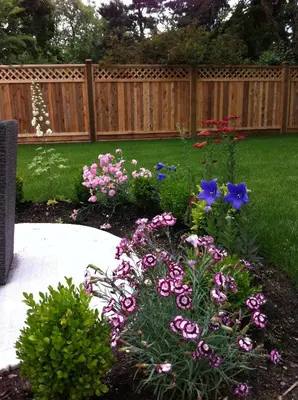 a garden with flowers in front of a fence at Imperial House in Burnaby
