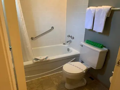 a bathroom with a toilet and a tub and a sink at City Centre Motel older building in Hope