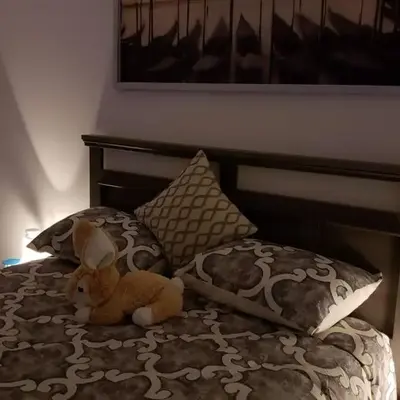 Farhad's B&B