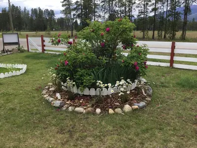 a flower bed in the grass in front of a fence at Rose Cottage Bed & Breakfast in Valemount
