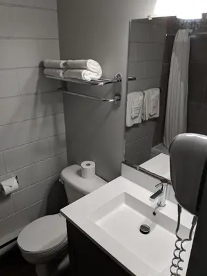 a bathroom with a sink and a toilet and a mirror at Armstrong Inn in Armstrong