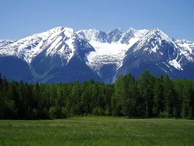 a snow covered mountain with trees in the foreground at Silvern Lake Trail Bed and Breakfast in Smithers