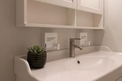 a bathroom sink with a faucet and a potted plant at Alpenglow Lodge by MVA in Whistler