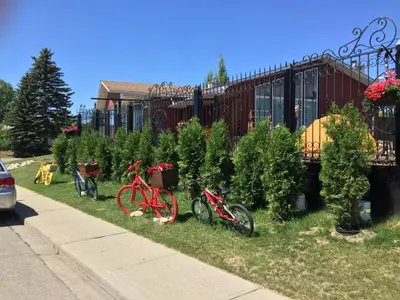 a group of bikes parked next to christmas trees at The Calgary Hub hostel style Home in Calgary