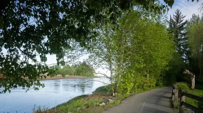 a winding road next to a river with trees at Old House Hotel in Courtenay
