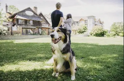 a man and woman standing next to a dog in a yard at Old House Hotel in Courtenay