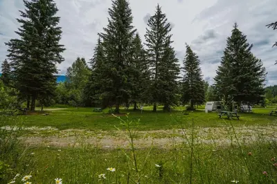 a park with trees and a picnic table in the grass at Helmcken Falls Lodge Cabin Rooms and RV Park in Clearwater