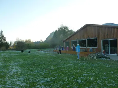 a group of people and dogs standing outside of a building at Harrison Hammond House Farmstay in Harrison Mills