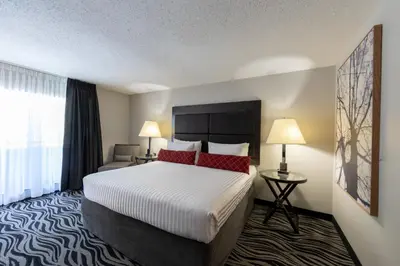 a hotel room with a large bed with red pillows at SureStay Hotel by Best Western Castlegar in Castlegar