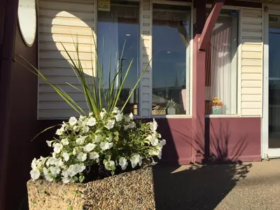 a pot of flowers in front of a building at DC Lodge in Dawson Creek