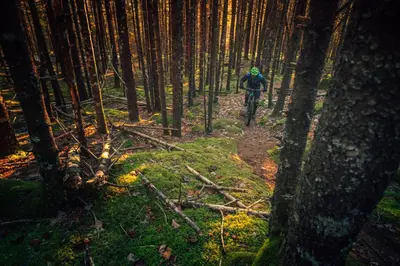 a person riding a bike on a trail in a forest at The Raging Elk Adventure Lodging in Fernie