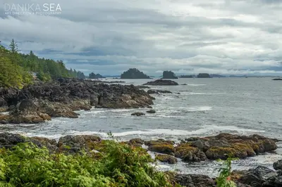 a view of the ocean from a rocky beach at Sounds of the Sea in Ucluelet