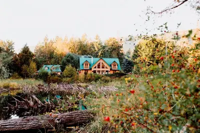 a house with a blue roof sitting on top of a field at Cowichan River Lodge in Lake Cowichan