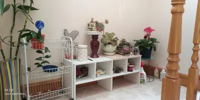 a white shelf with potted plants on it at Helen's House / Close to Skytrain and Airport in Vancouver