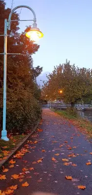 a street light on the side of a road at Painted Turtle Guesthouse in Nanaimo