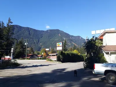 a dog standing in the middle of a street with a mountain at Inntowne Motel in Hope