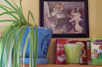 a table with a potted plant and a painting of cats at Blitz Beach House Oceanside Suite in Powell River