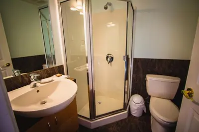a bathroom with a shower and a sink and a toilet at Rae Leigh Heights BnB in Saanichton