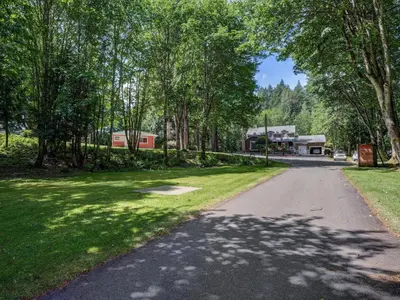 an empty road in a park with trees at Malahat Bungalows Motel in Malahat