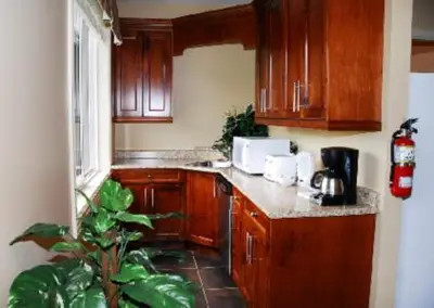 a kitchen with wooden cabinets and a plant in it at Ciliegia Villa in Osoyoos