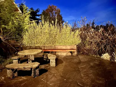 a picnic table and bench in a garden at Oceanfront Room With Hot Tub & Firepit in Ucluelet