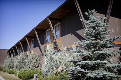 a building with a christmas tree in front of it at Heritage Inn Hotel & Convention Centre - High River in High River