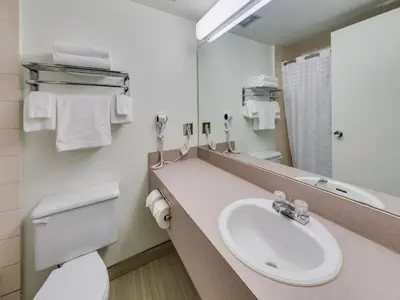a bathroom with a sink and a toilet and a mirror at Heritage Inn Hotel & Convention Centre - Brooks in Brooks